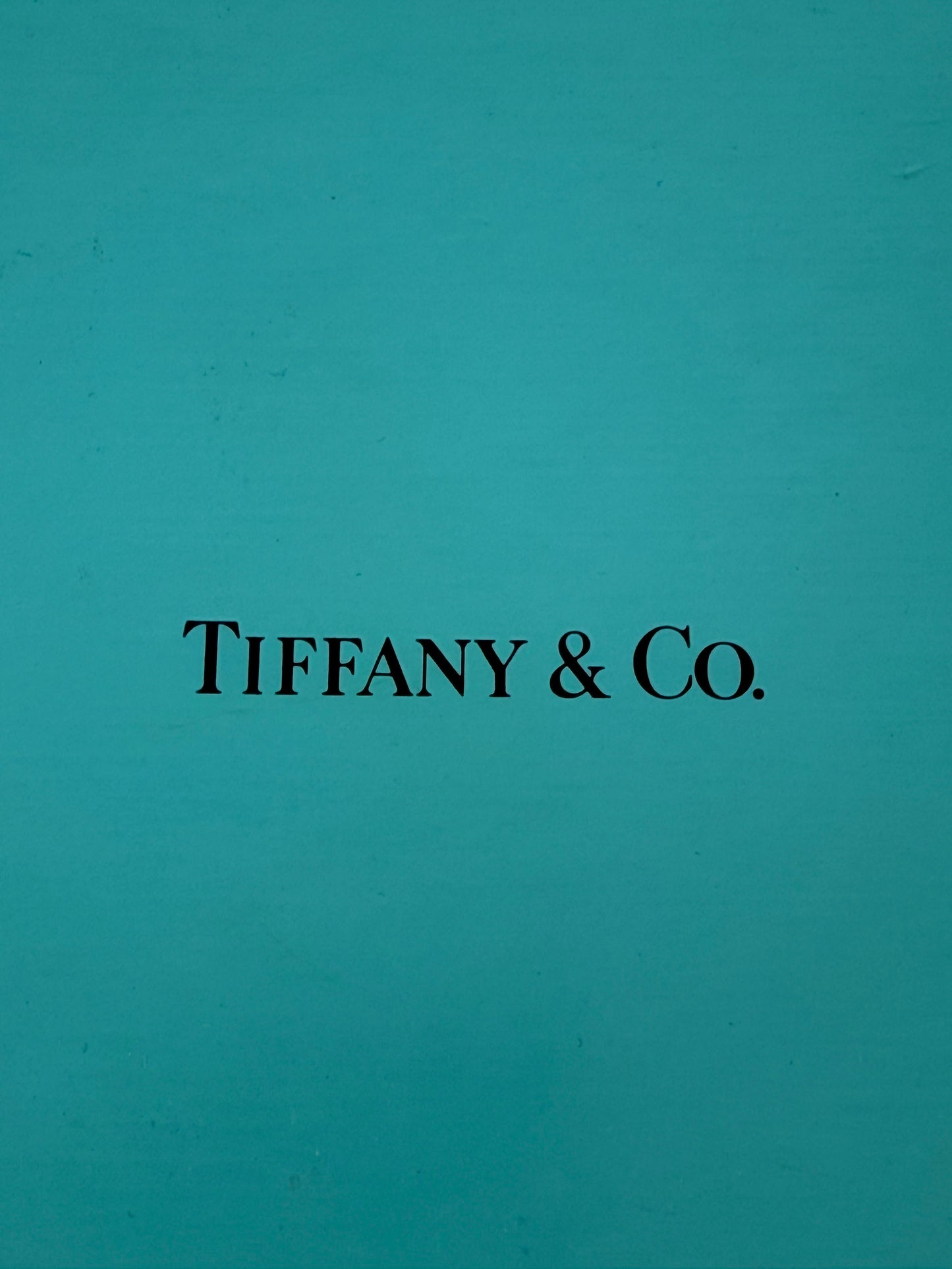 Tiffany & Co. Morning Glory Teetassen Set